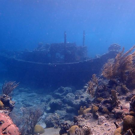 Caribbean Beach Resort Blenchi Curacao Willemstad Bagian luar foto