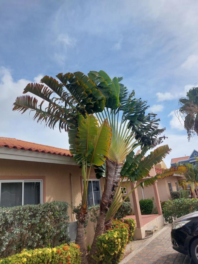 Caribbean Beach Resort Blenchi Curacao Willemstad Bagian luar foto