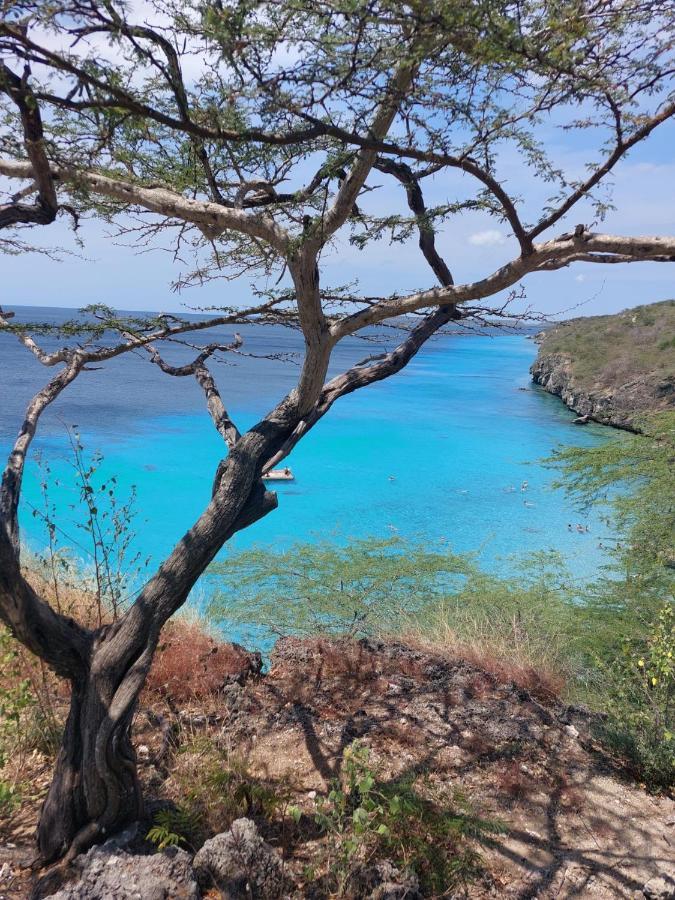 Caribbean Beach Resort Blenchi Curacao Willemstad Bagian luar foto