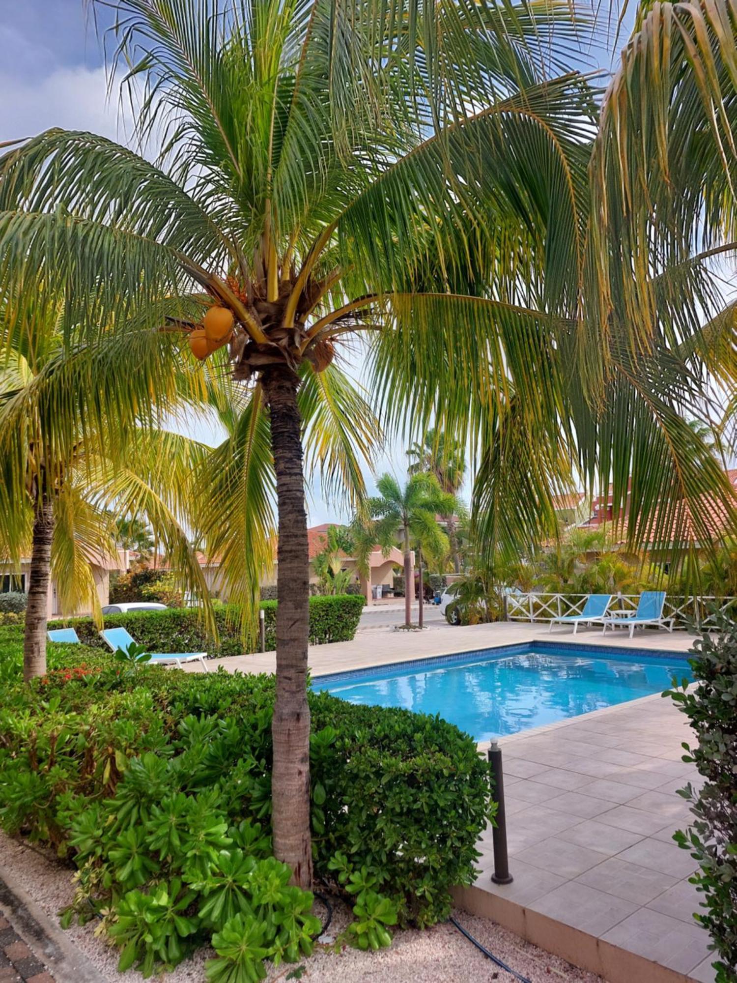 Caribbean Beach Resort Blenchi Curacao Willemstad Bagian luar foto