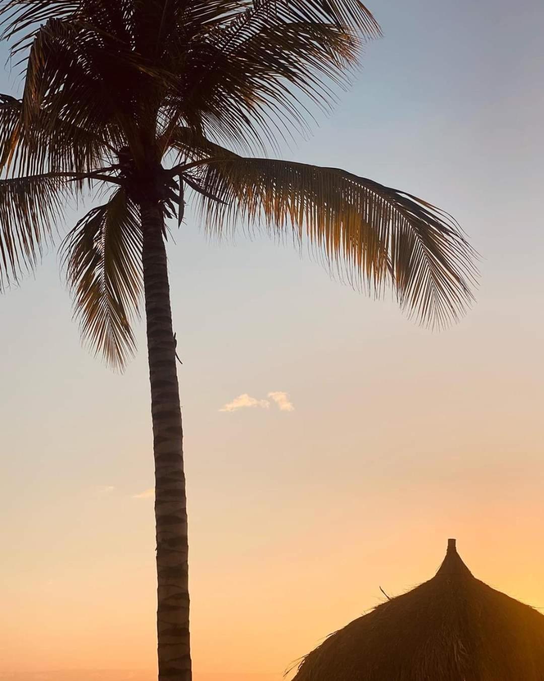 Caribbean Beach Resort Blenchi Curacao Willemstad Bagian luar foto