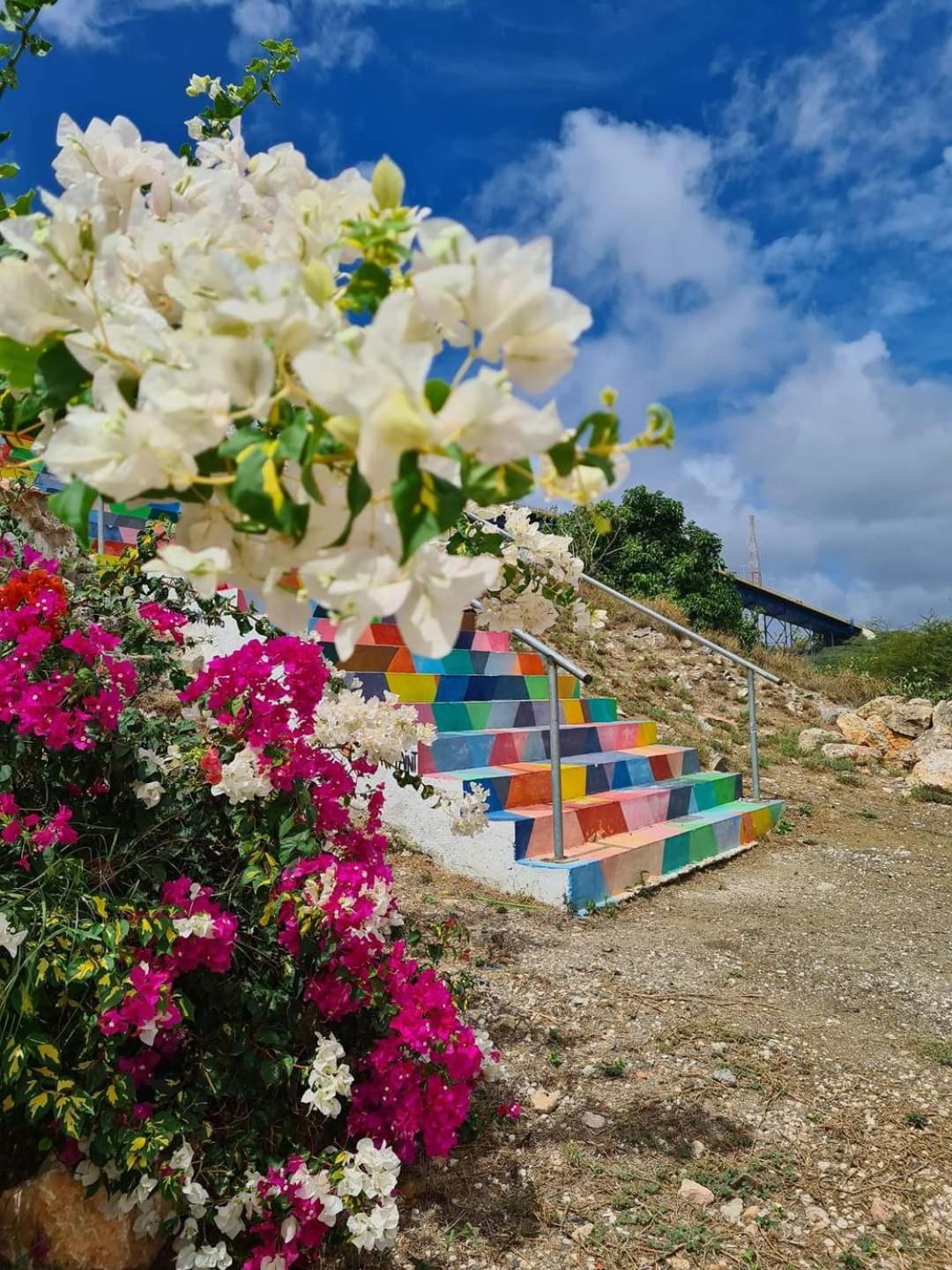 Caribbean Beach Resort Blenchi Curacao Willemstad Bagian luar foto